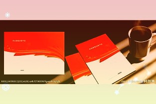 其业务采取周期批量结算的方式传神存在应收账款逾期或无法回收风险