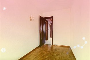 江苏盐城:一粒种子激活农业芯动力