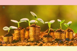 药明康德又捧出一个IPO,4年收入不足300万的科笛集团赴港上市