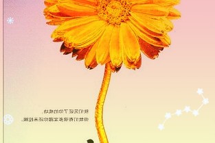 力帆科技2022年新能源车销量增近10倍九个月盈利1.52亿追赶C端市场